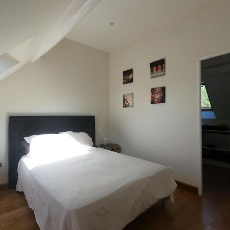 Chateau Des Nouies Villa Selles-sur-Cher Esterno foto
