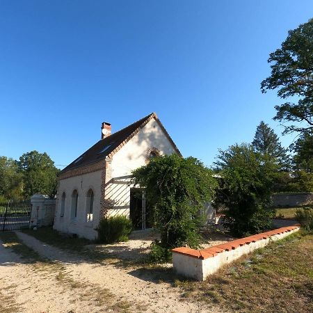 Chateau Des Nouies Villa Selles-sur-Cher Esterno foto