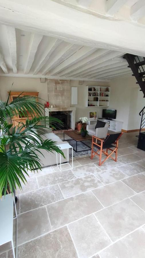 Chateau Des Nouies Villa Selles-sur-Cher Esterno foto