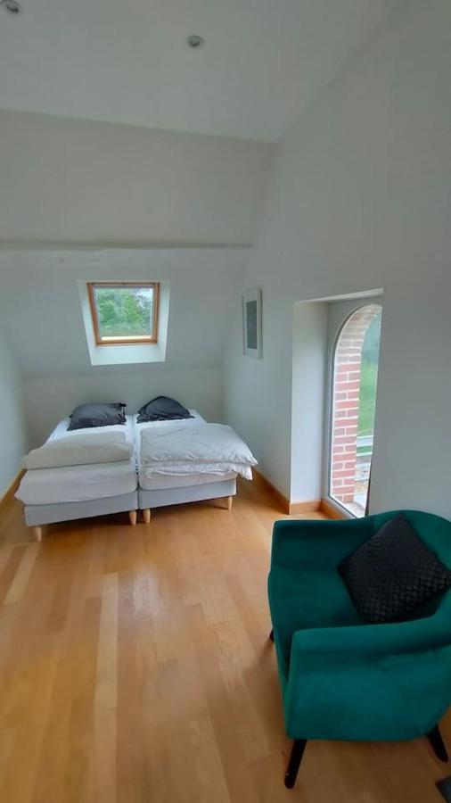 Chateau Des Nouies Villa Selles-sur-Cher Esterno foto