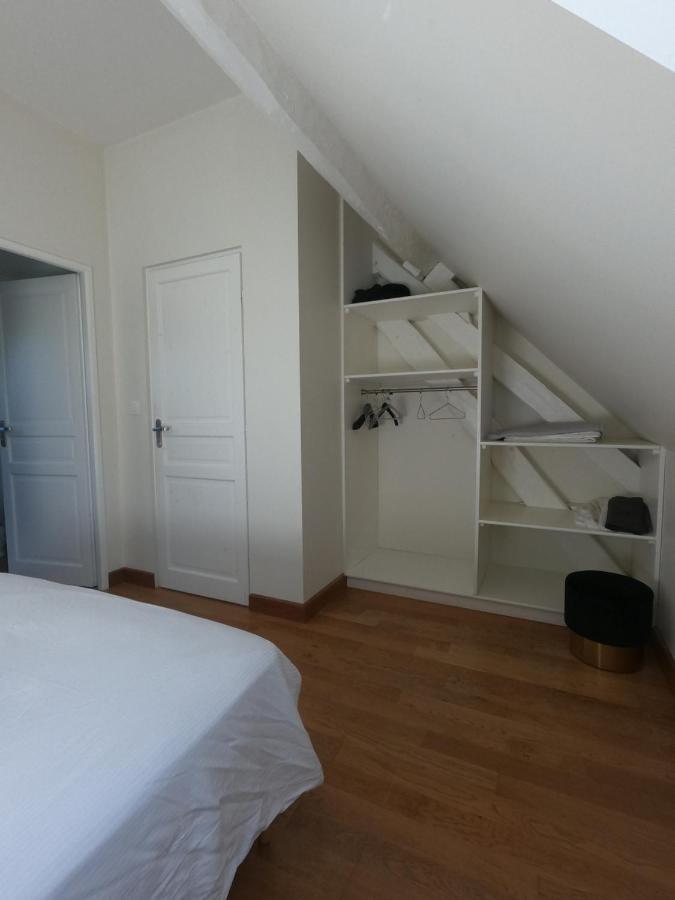 Chateau Des Nouies Villa Selles-sur-Cher Esterno foto