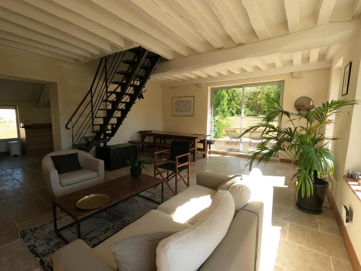 Chateau Des Nouies Villa Selles-sur-Cher Esterno foto