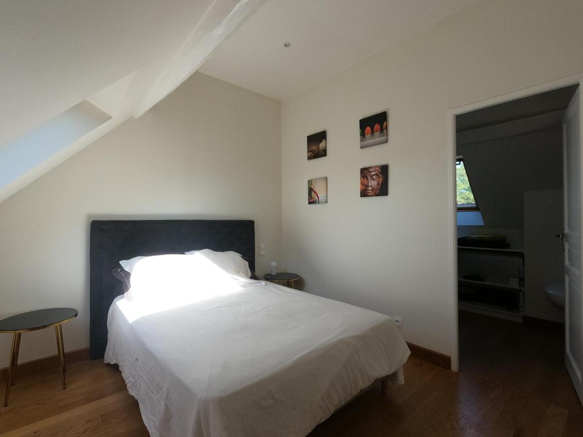 Chateau Des Nouies Villa Selles-sur-Cher Esterno foto