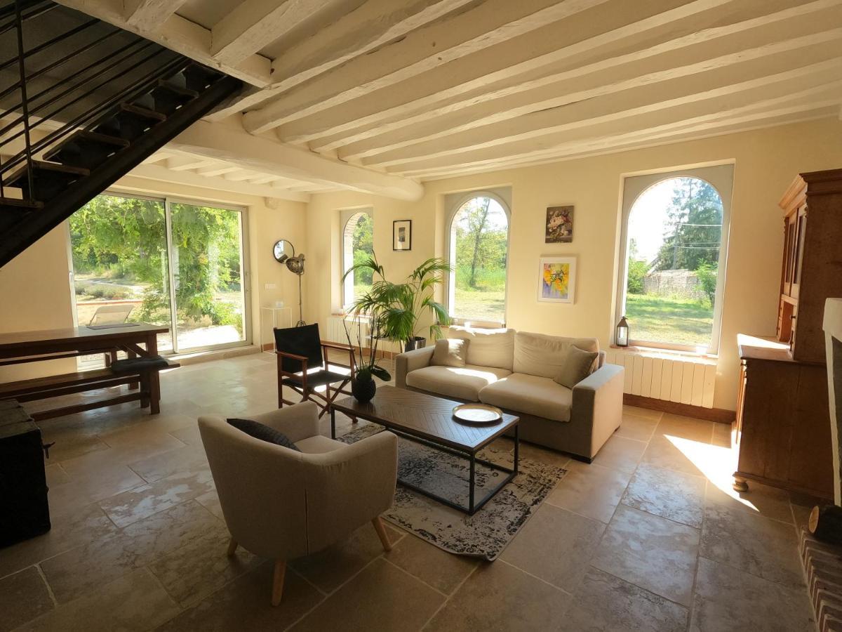 Chateau Des Nouies Villa Selles-sur-Cher Esterno foto
