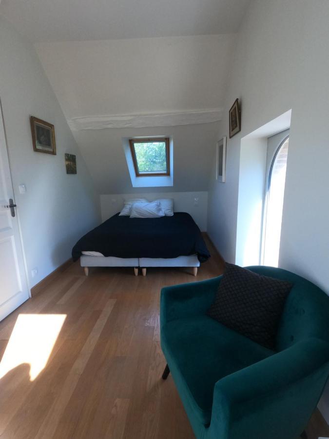 Chateau Des Nouies Villa Selles-sur-Cher Esterno foto