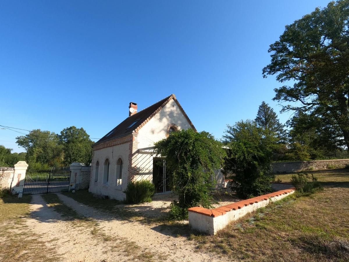 Chateau Des Nouies Villa Selles-sur-Cher Esterno foto